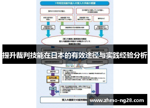 提升裁判技能在日本的有效途径与实践经验分析