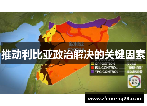 推动利比亚政治解决的关键因素