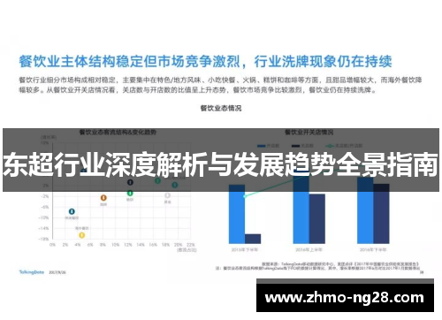东超行业深度解析与发展趋势全景指南