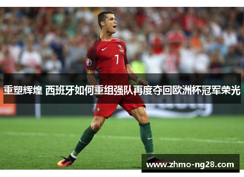 重塑辉煌 西班牙如何重组强队再度夺回欧洲杯冠军荣光 重塑辉煌 西班牙如何重组强队再度夺回欧洲杯冠军荣光