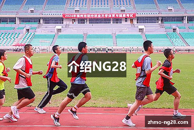 介绍NG28